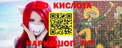 спиды Бердск