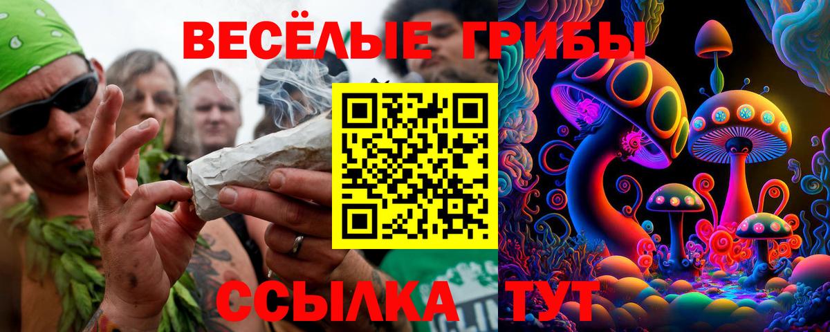 Псилоцибиновые грибы мухоморы  Вход с VPN  Карачаевск 